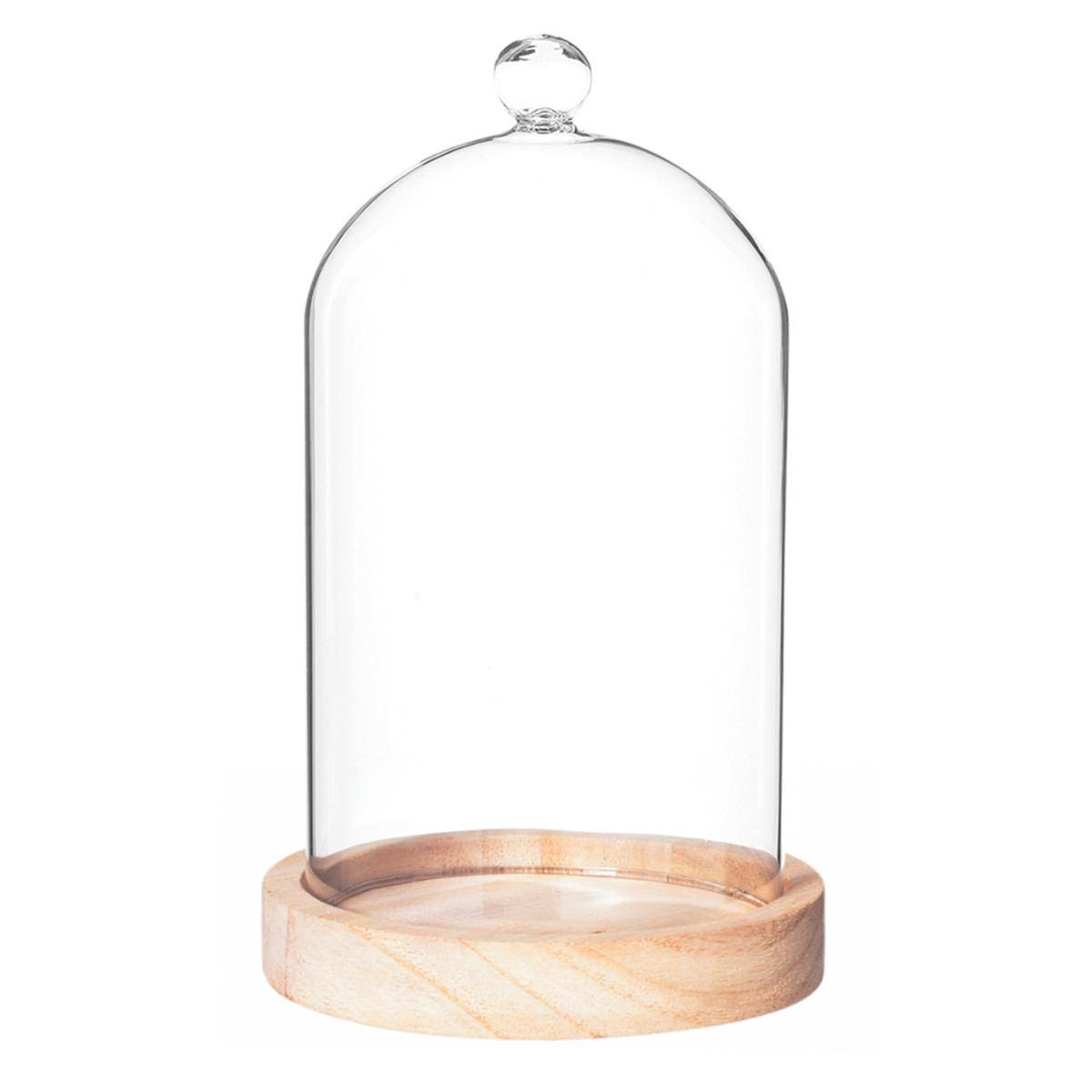 Cloche en verre avec socle en bois