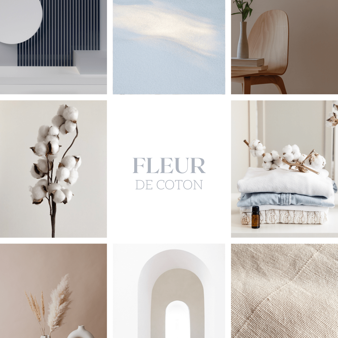 Parfum d’intérieur 2 en 1 Fleur de coton 100ml