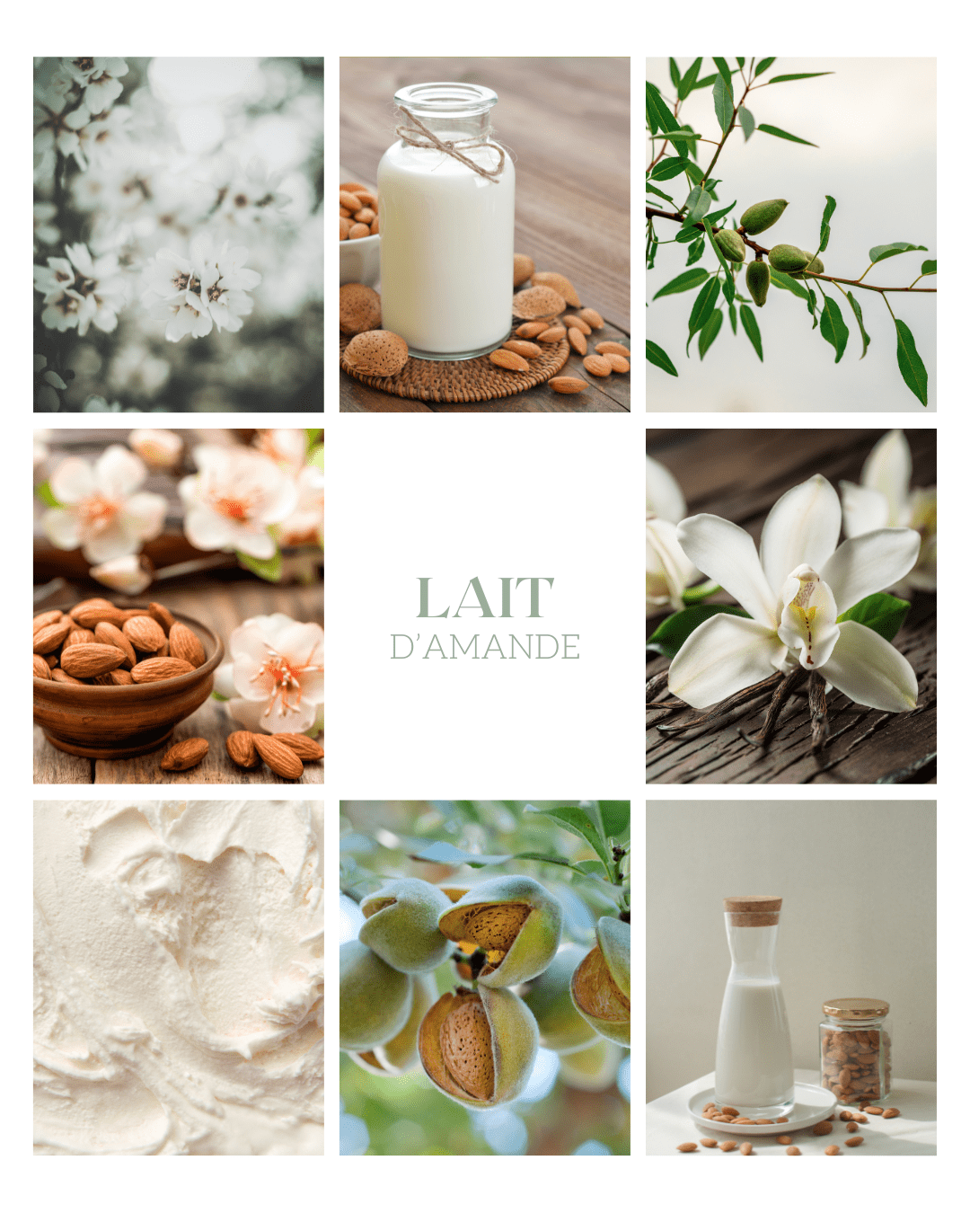 Parfum d’intérieur 2 en 1 Lait d'amande 100ml