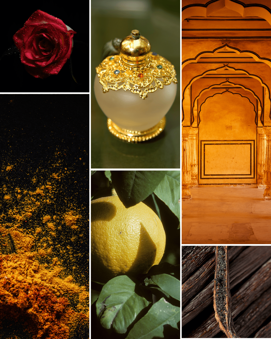 Parfum d’intérieur 2 en 1 Trésor d'ambre