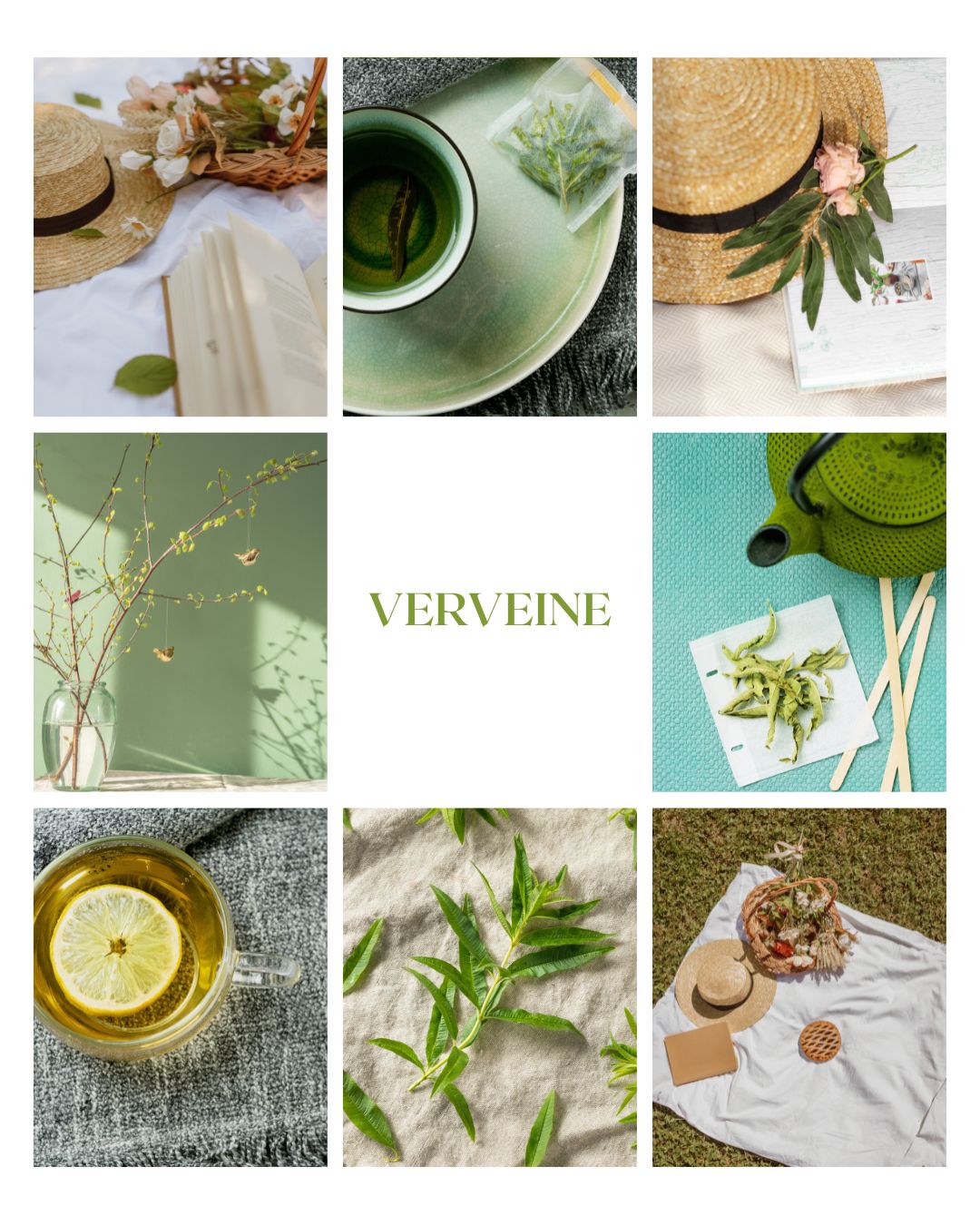 Fondant parfumé Verveine