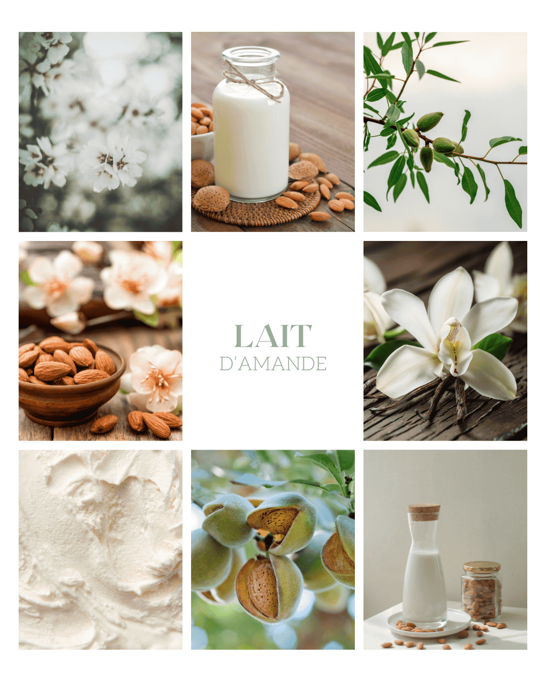 Fondant parfumé Lait d'amande