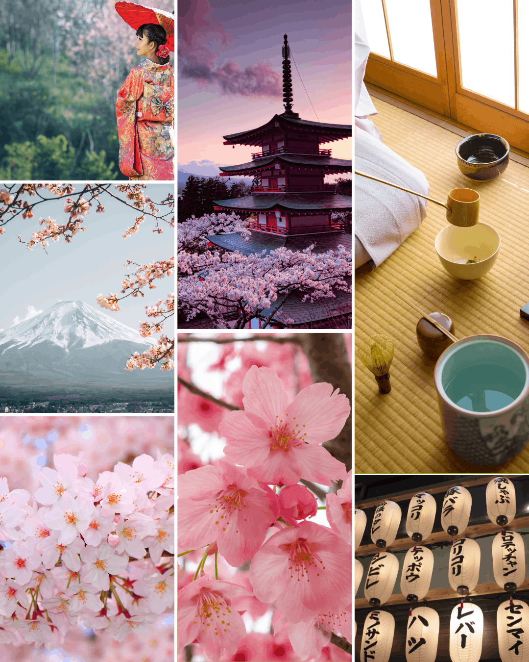 Parfum d’intérieur 2 en 1 Fleurs de sakura ｜50ml ou 100ml