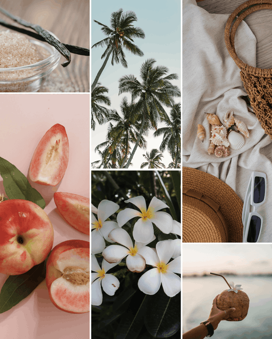 Parfum d’intérieur 2 en 1 Nectar des îles ｜50ml ou 100ml